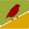 Responsible AgeTech logo
